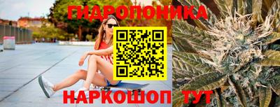 наркотики Камышлов