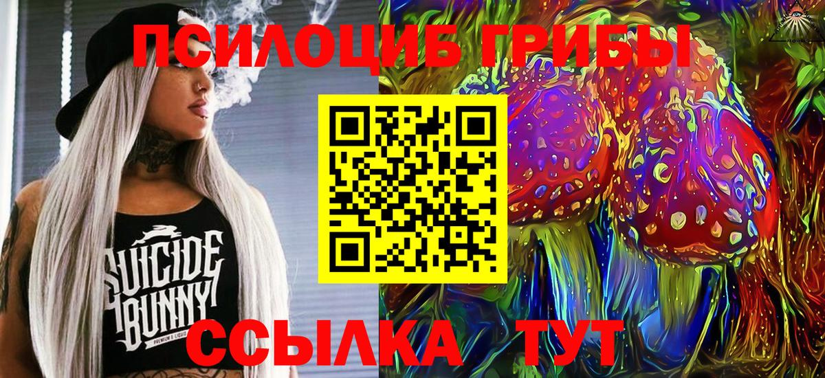 Галлюциногенные грибы мухоморы  Псилоцибиновые грибы Cubensis  Кохма  Вход с VPN 